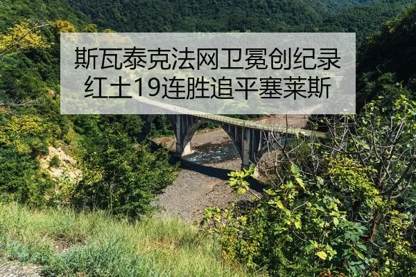 si-wa-tai-ke-fa-wang-wei-mian-chuang-ji-lu-hong-tu-lian-sheng-zhui-ping-sai-lai-si-2-965.jpg